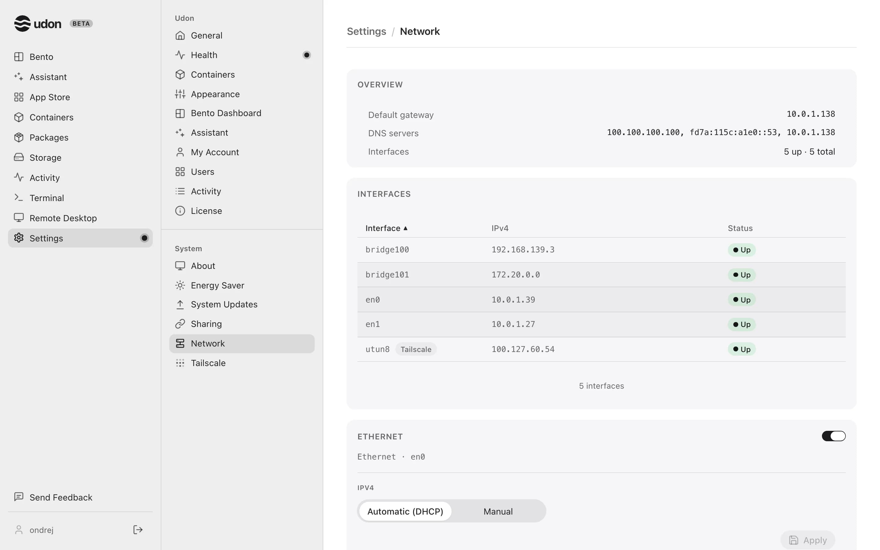 The Network settings, showing interfaces and IPv4